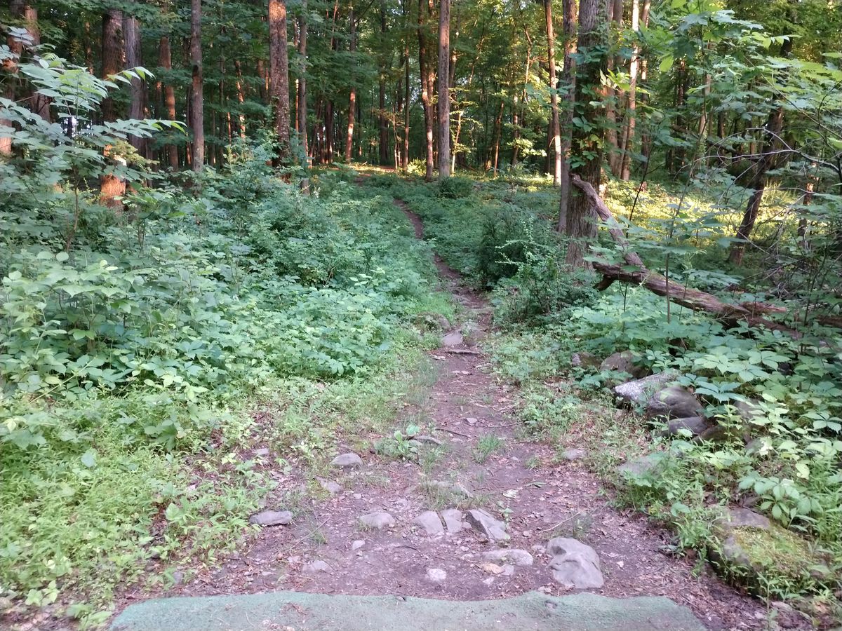 Hole 10