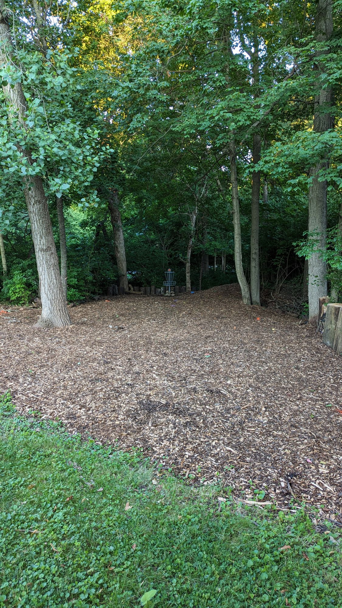 Hole 4 entry to basket