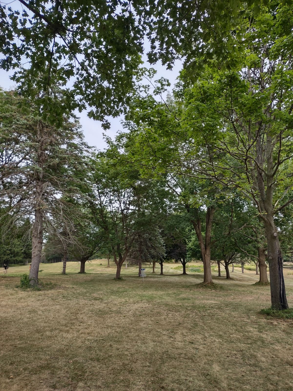 Hole 12 approach