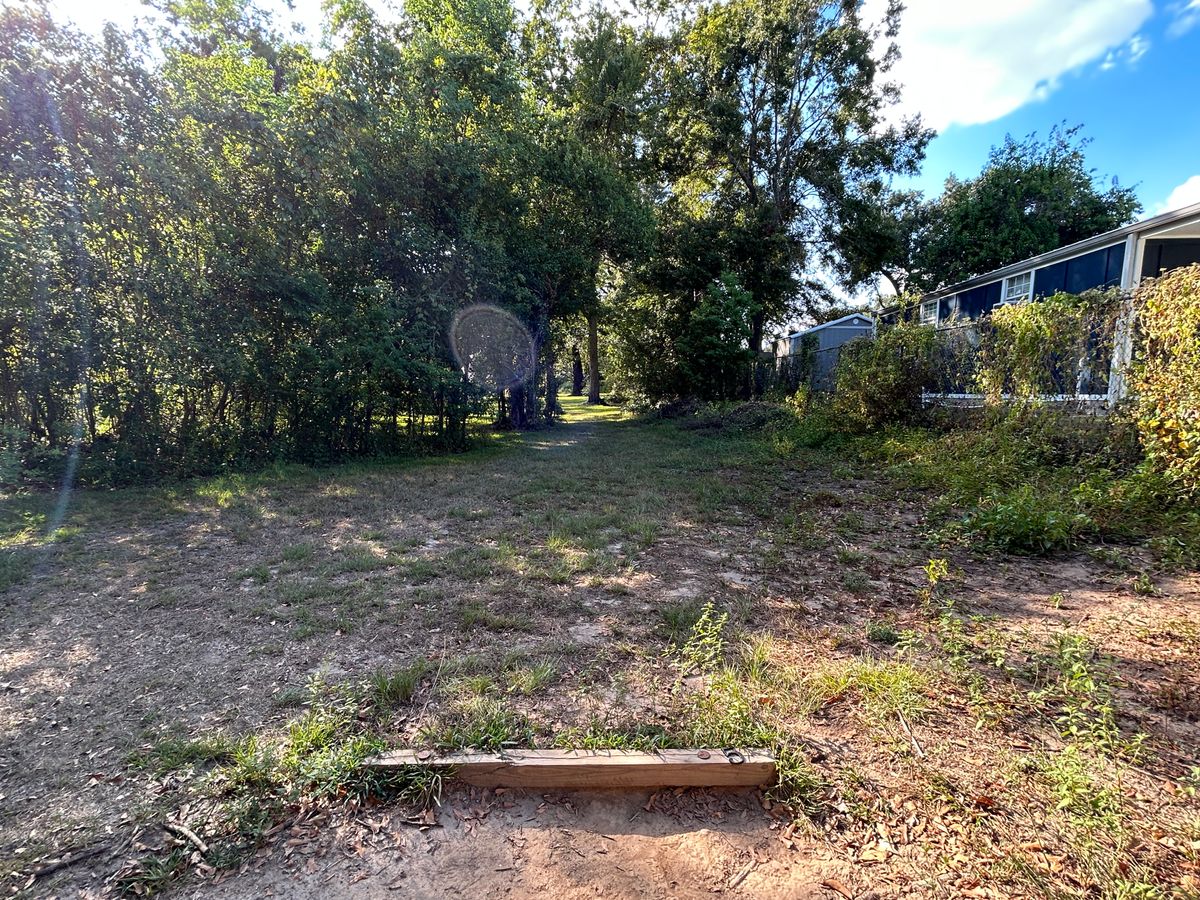 Hole 5 Fairway