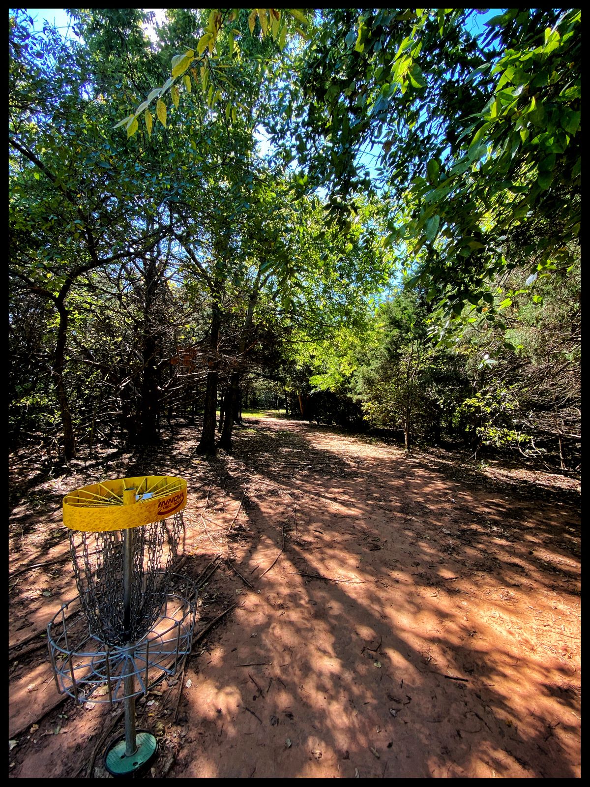 #18 Basket looking back towards Tee