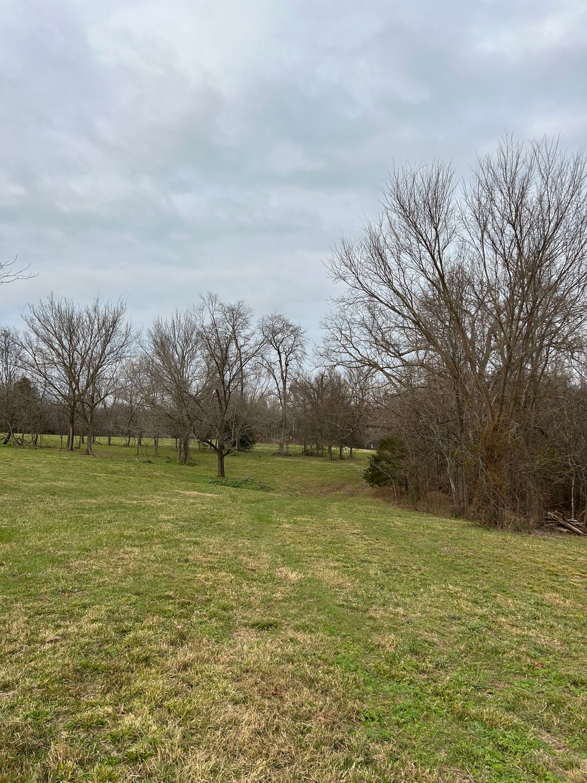 Hole 8 halfway down fairway