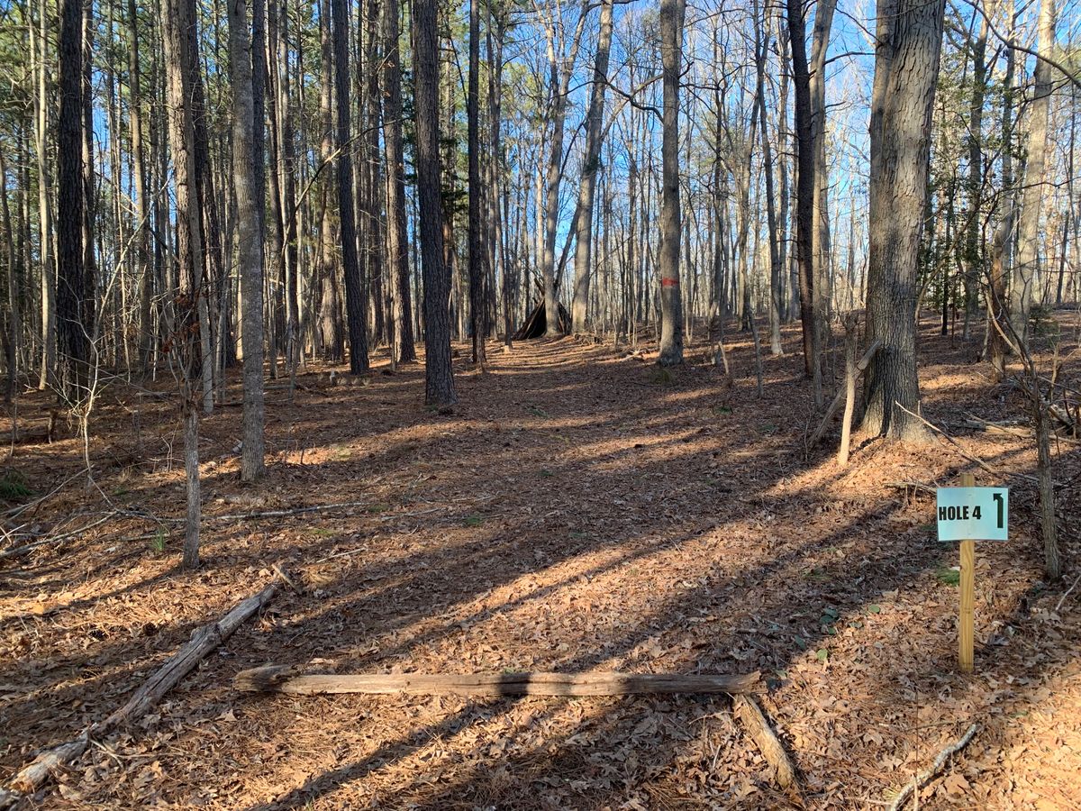 Hole 4 tee area