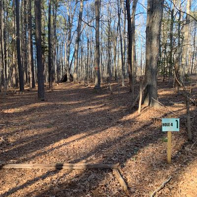 Hole 4 tee area