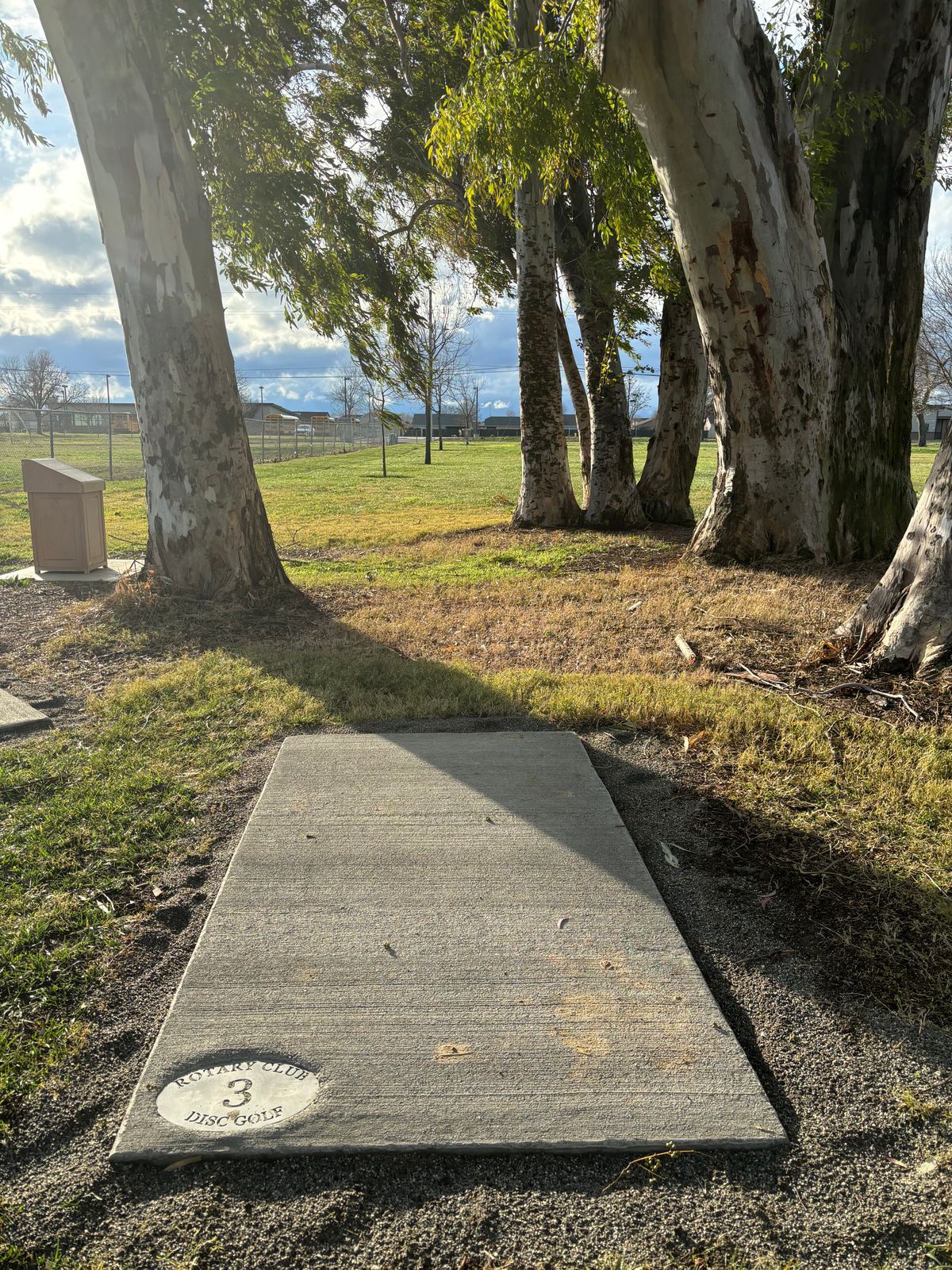 3 tee pad.