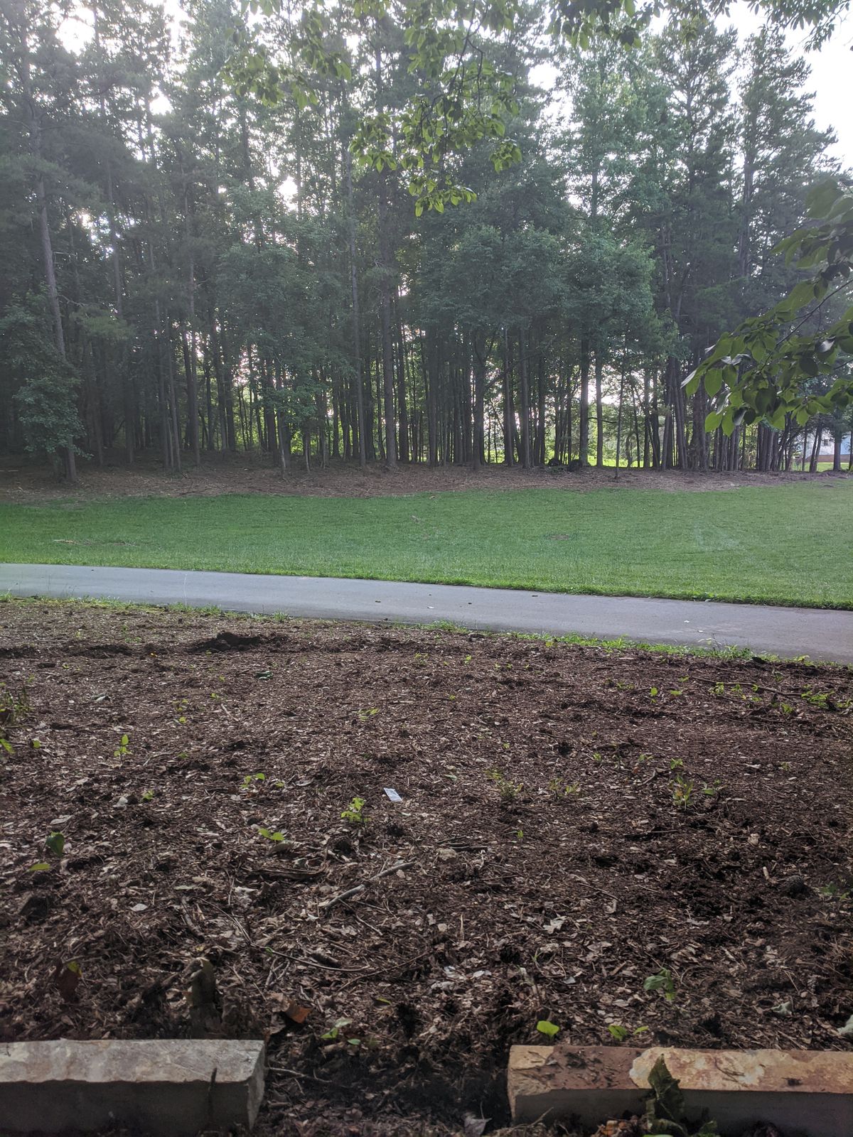 #2, long across the field and into the woods.
