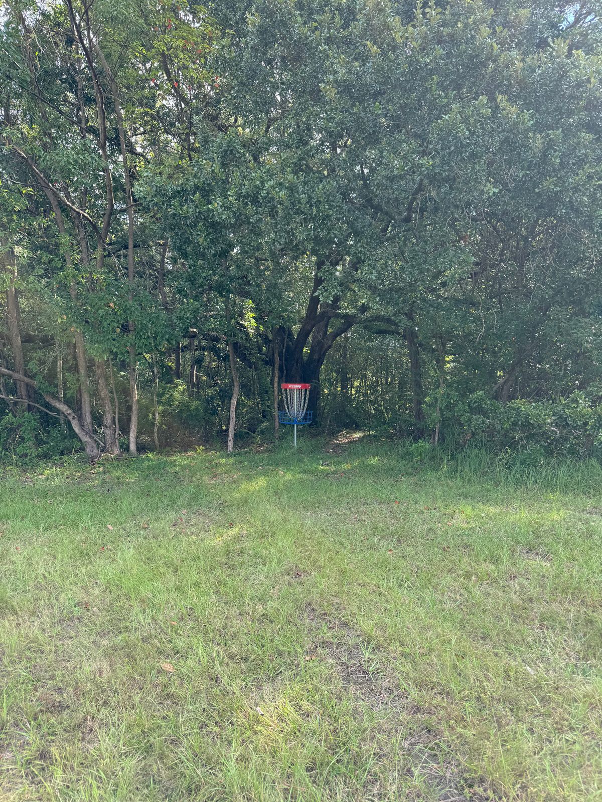 Hole 7 basket