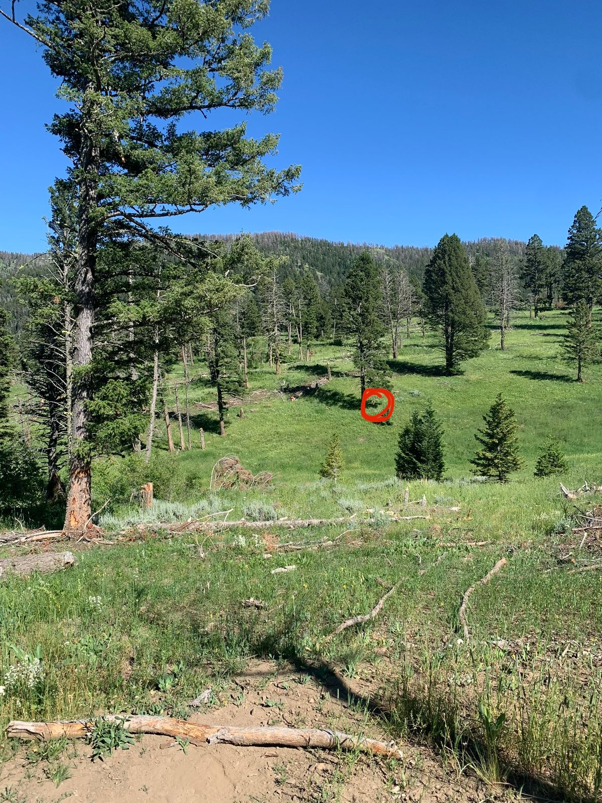 Looking down hole 6