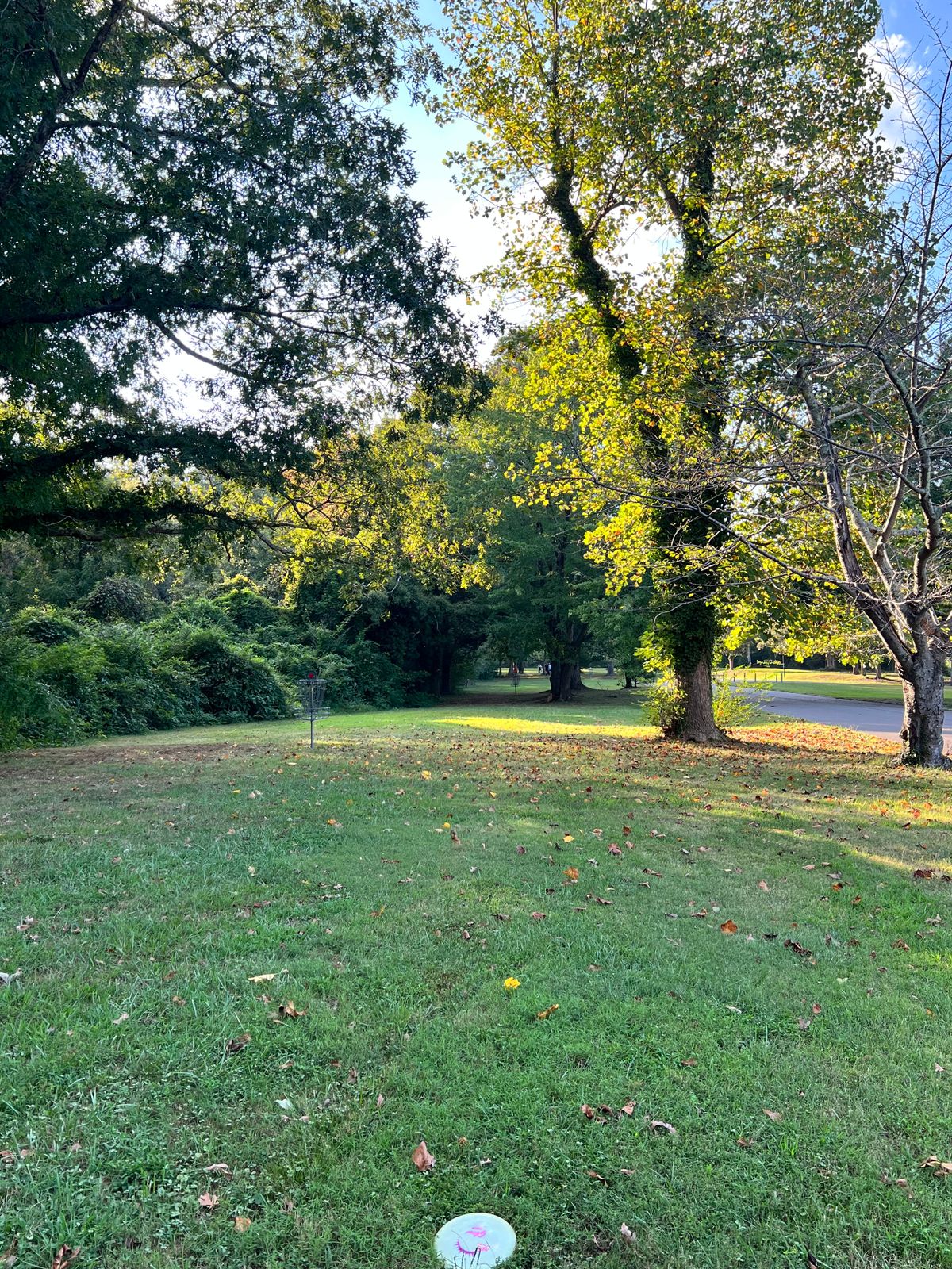 Hole 5 approach to long pin