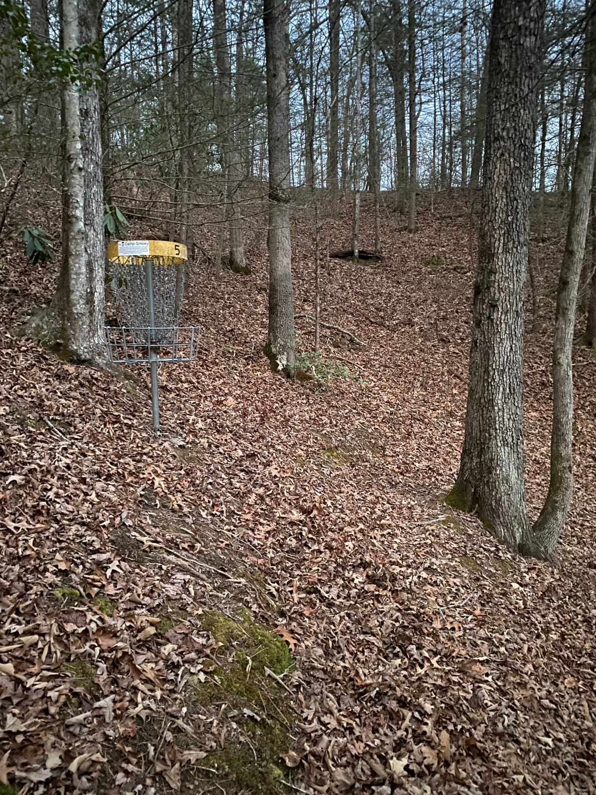Basket of hole 5