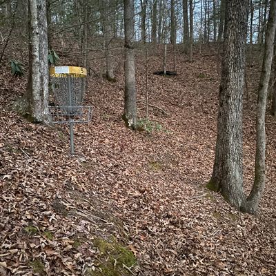 Basket of hole 5
