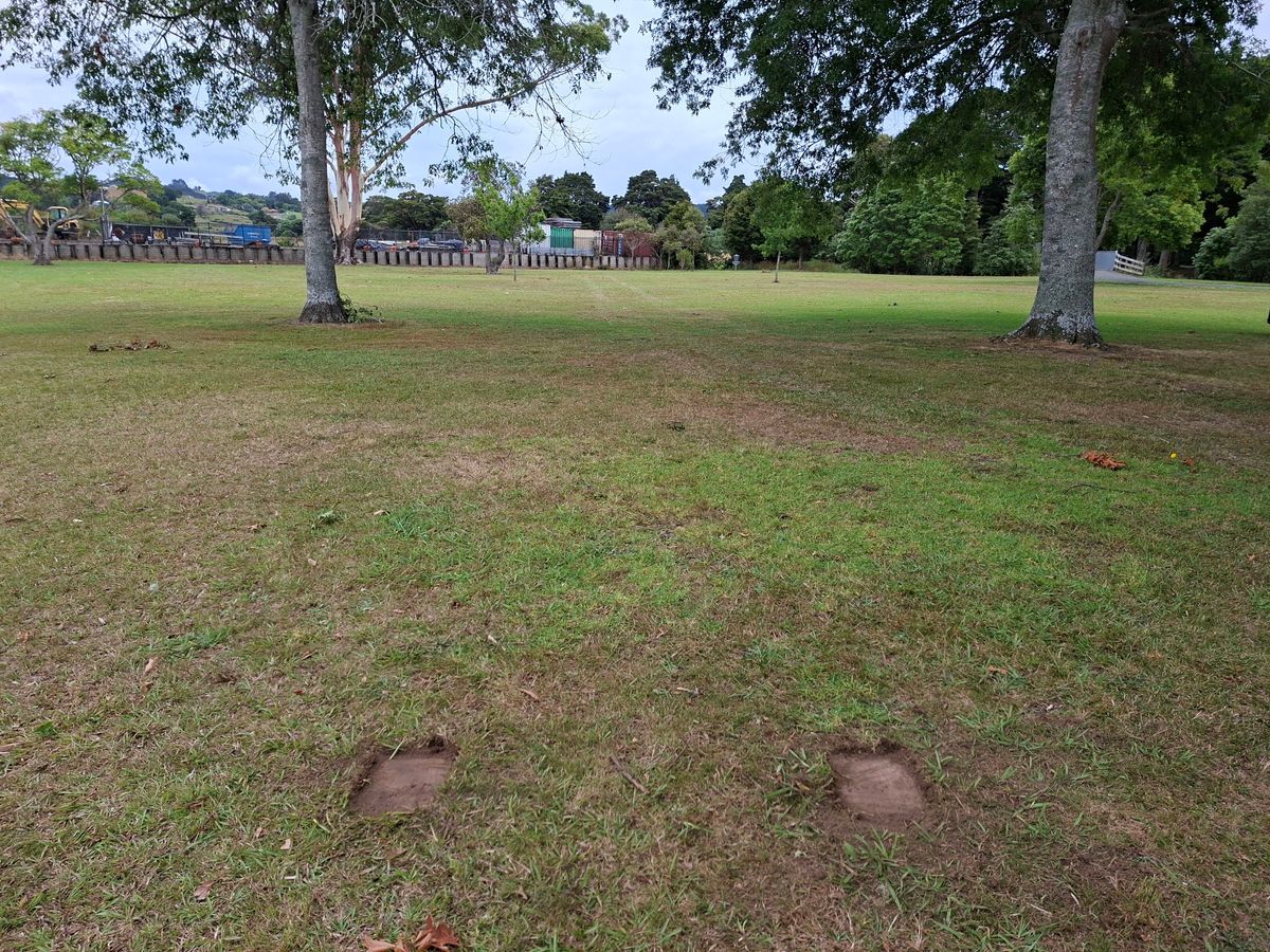 Hole 8 short teepad and drop zone marked to the left of the mando tree.