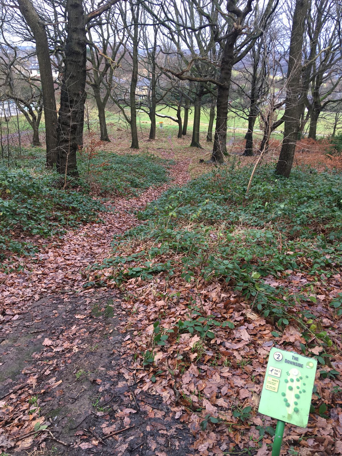 Main Hole 2 - Four Stumps Hole 4
