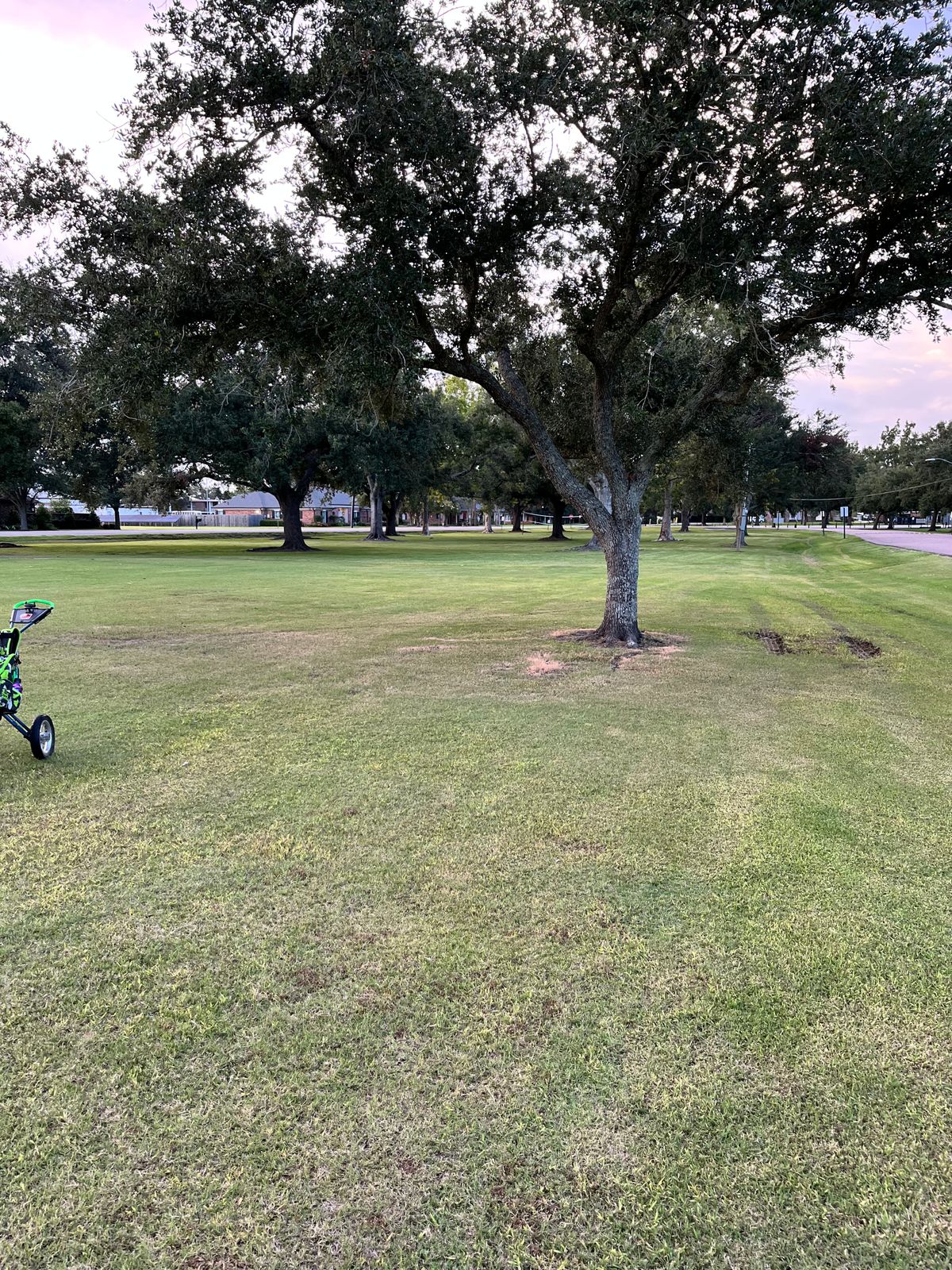 Hole 9 Green, looking back towards the tee pad (target about 25ft behind this small tree)
