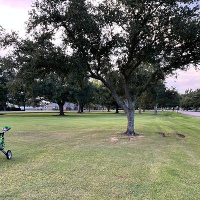 Hole 9 Green, looking back towards the tee pad (target about 25ft behind this small tree)