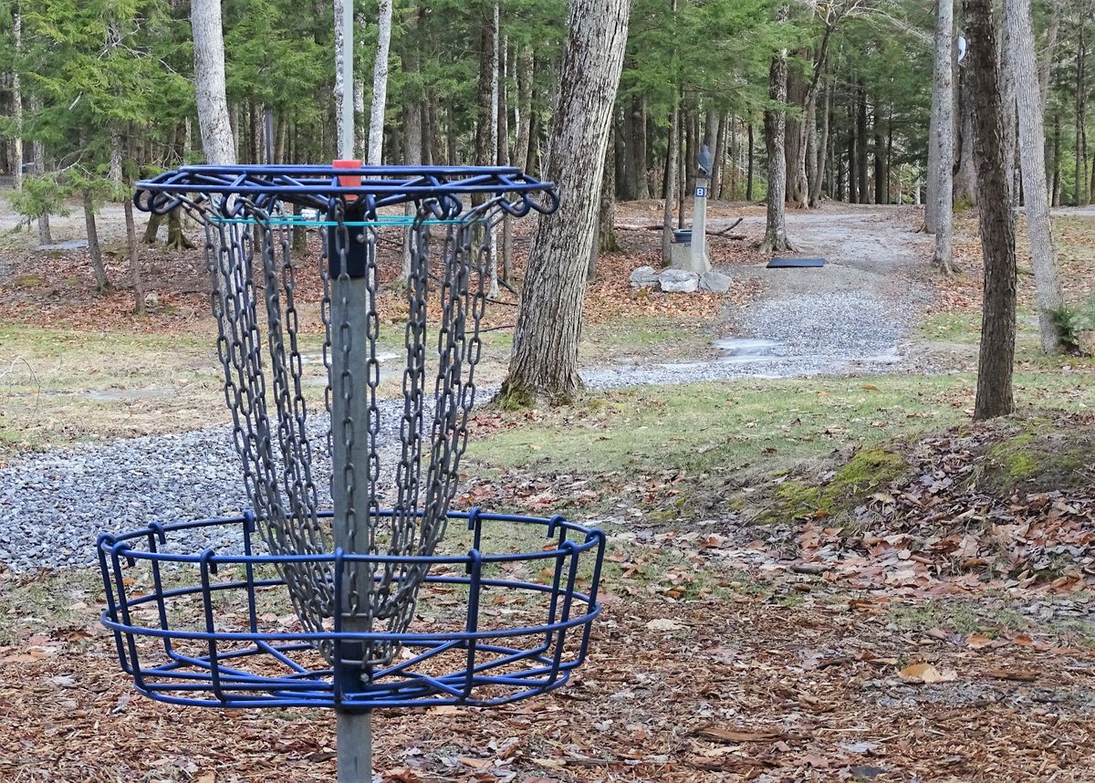 looking from basket 8 back on tee pad 8 of the Owl Course