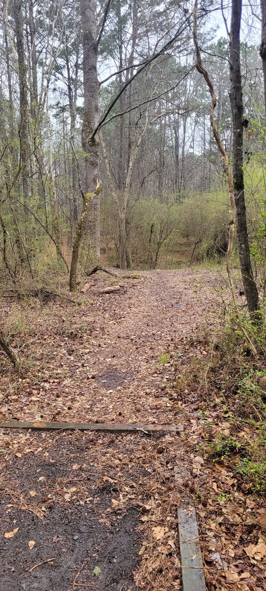 Orange Tee, Hole 14