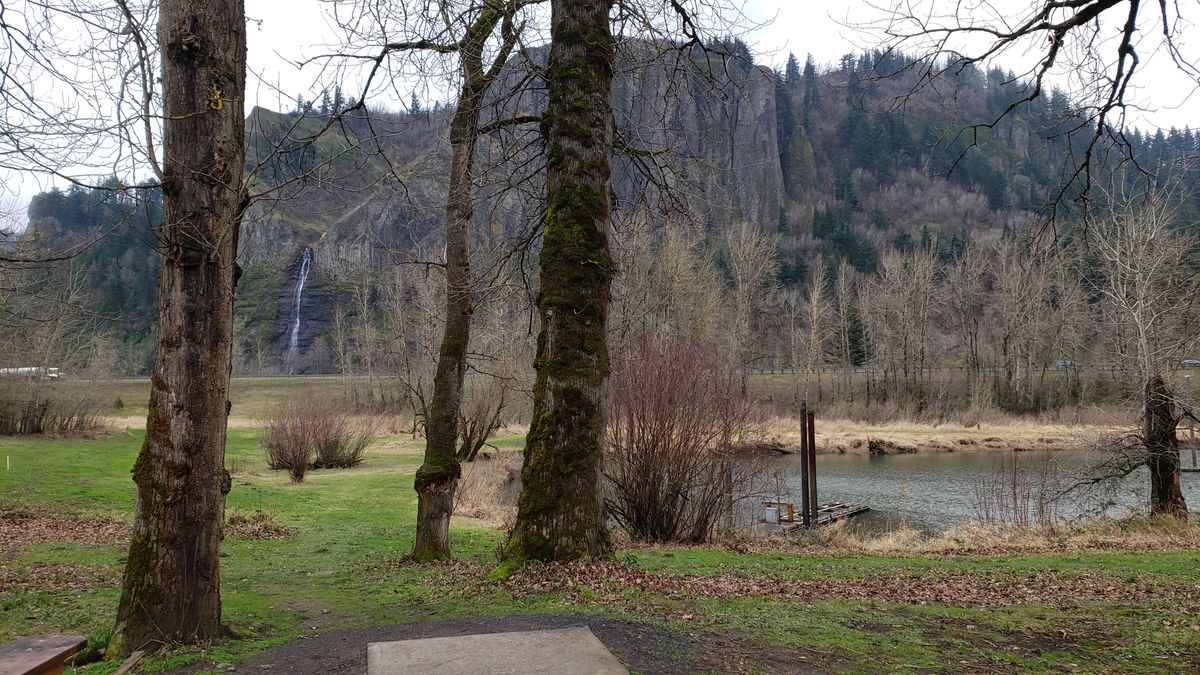 6th hole. The basket is straight away behind the tree and across the water.