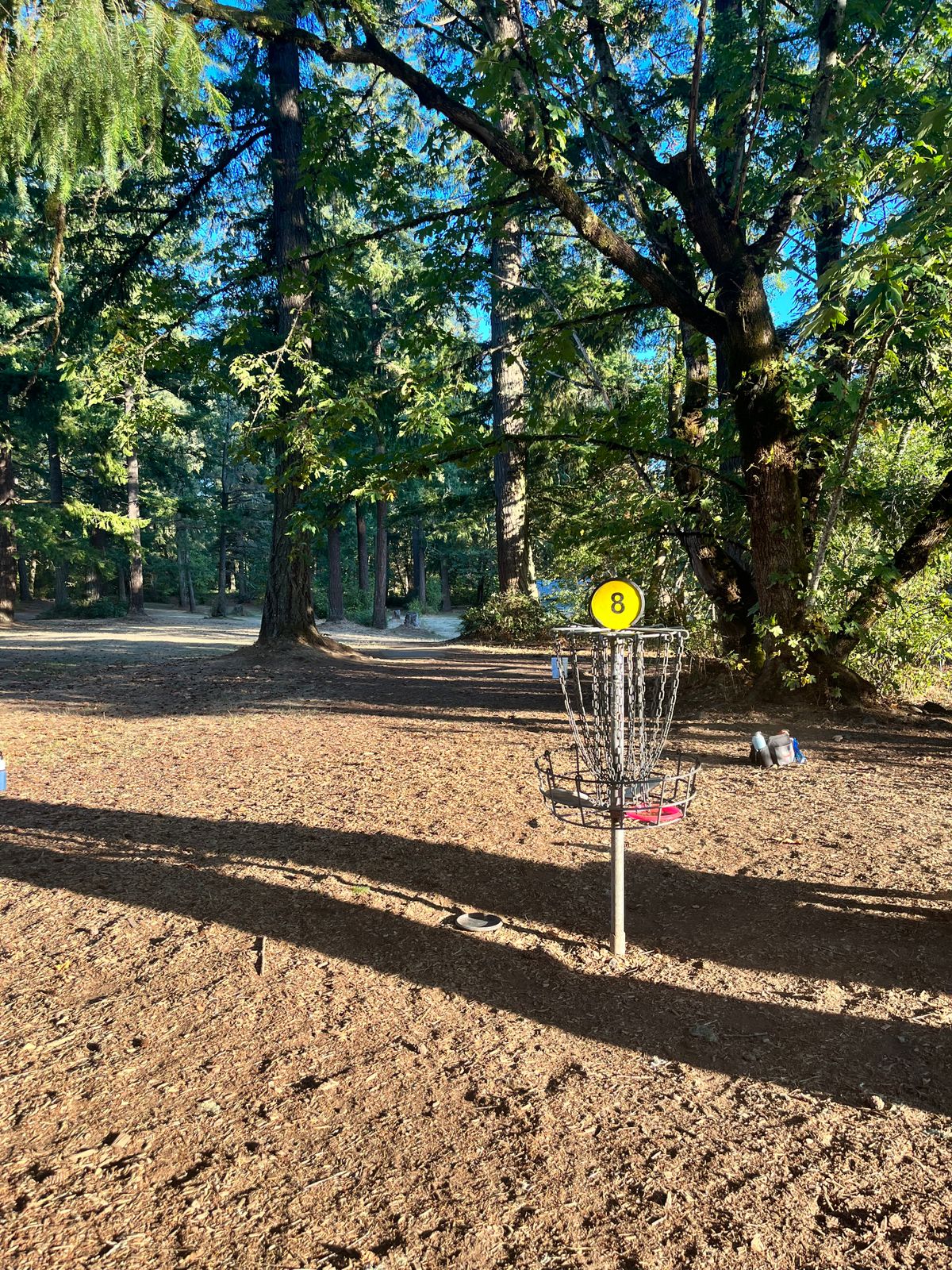 Hole 8 basket