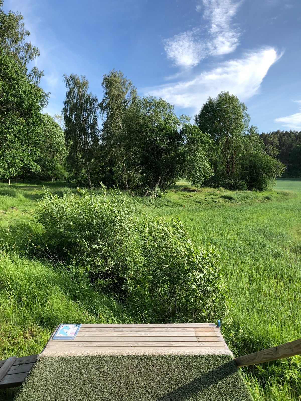 20. Blå