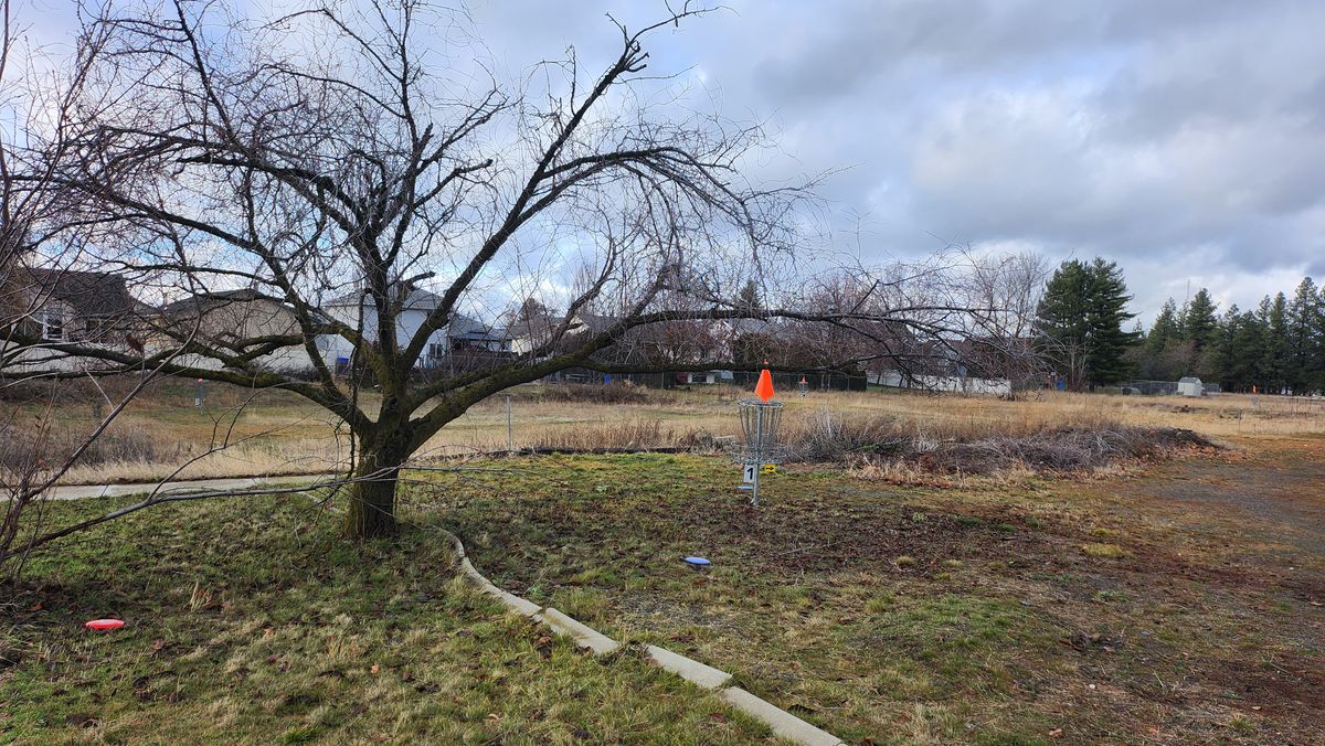 Hole 1 basket