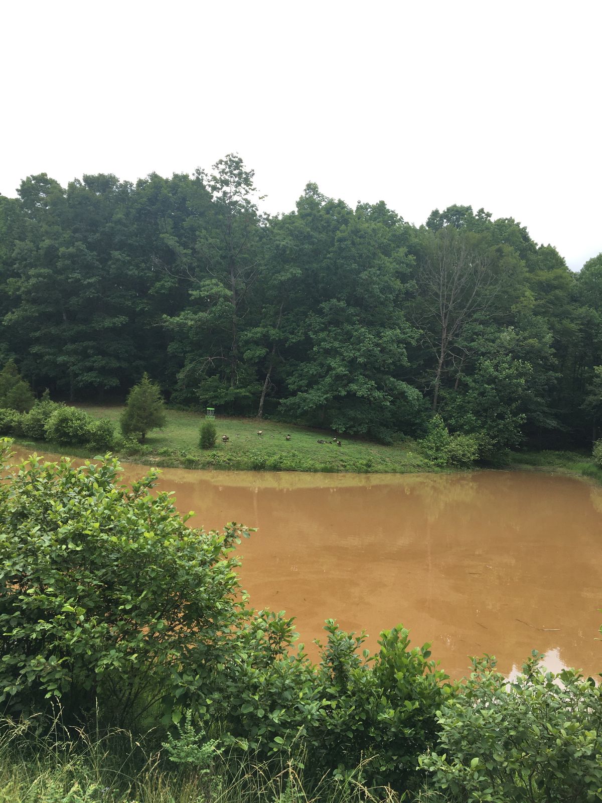 Hole 3 across the pond