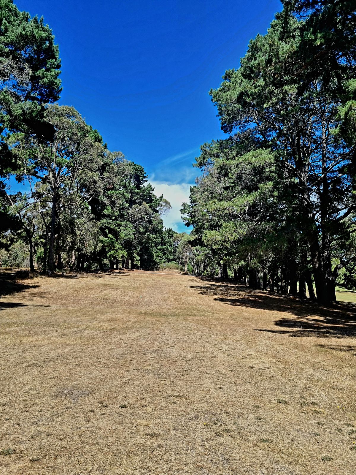 Fairway Hole 3
