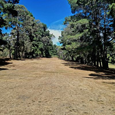 Fairway Hole 3