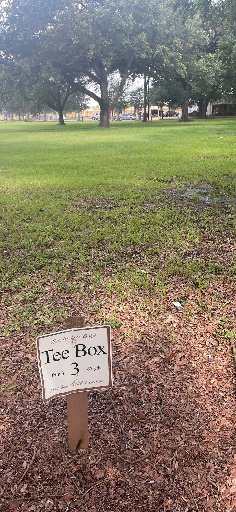 Hole 3
