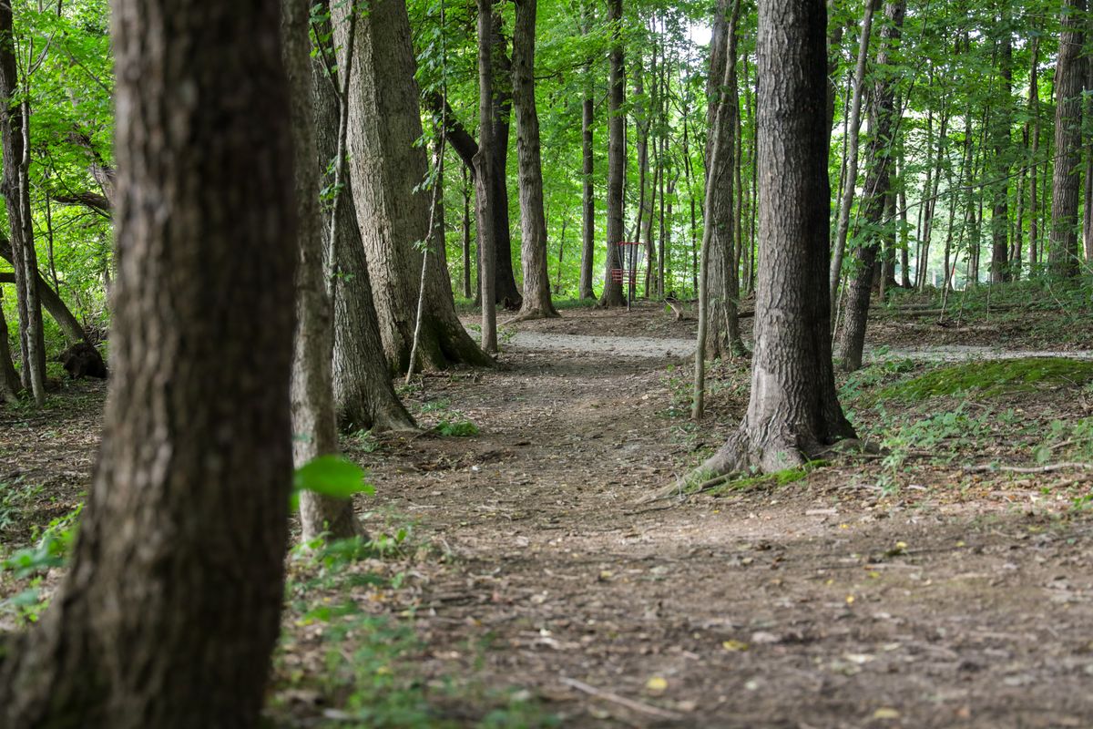 Hole 6 - middle fairway