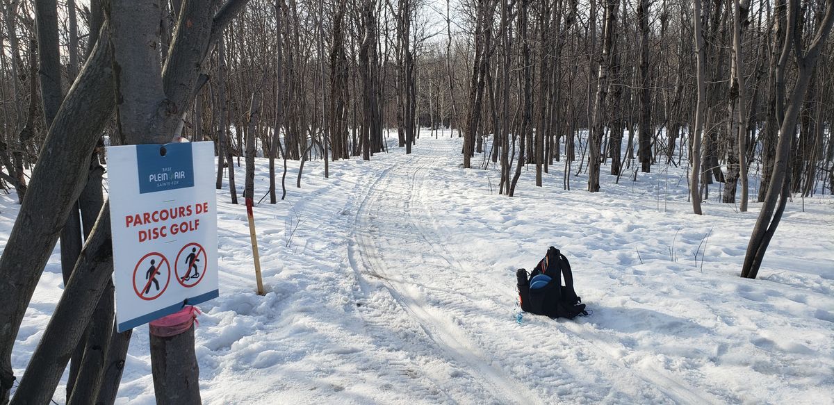 Short tee #1 during winter