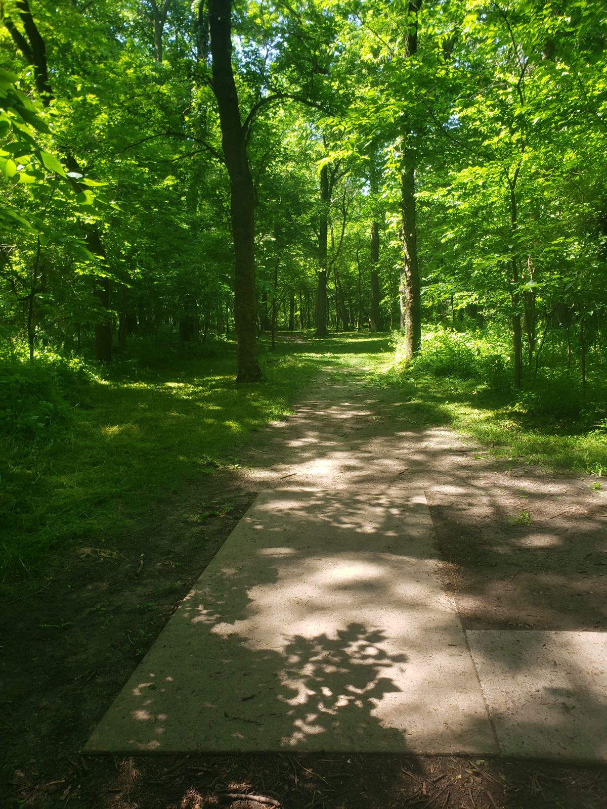 Hole 4