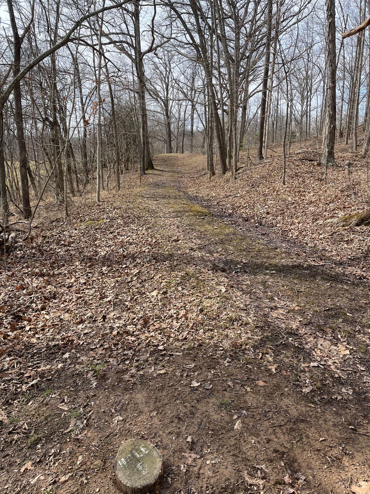 Hole 5 (Teebox)