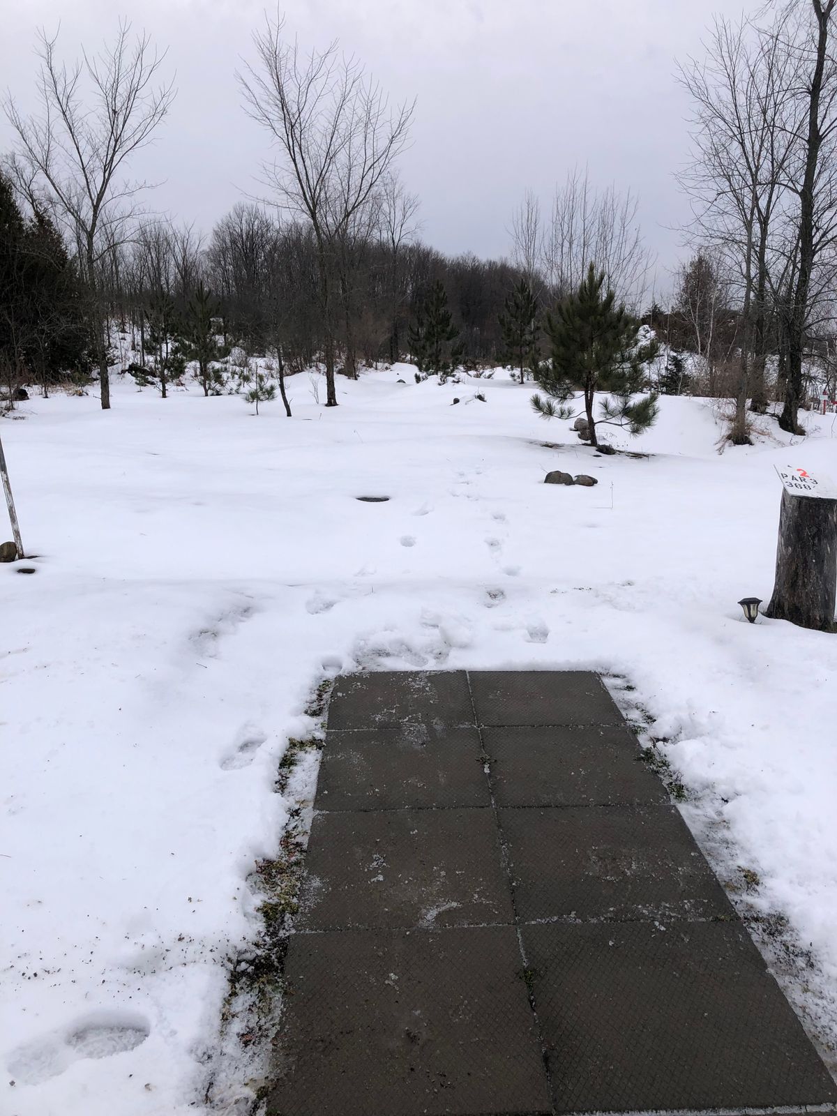 Hole 2 blue tee