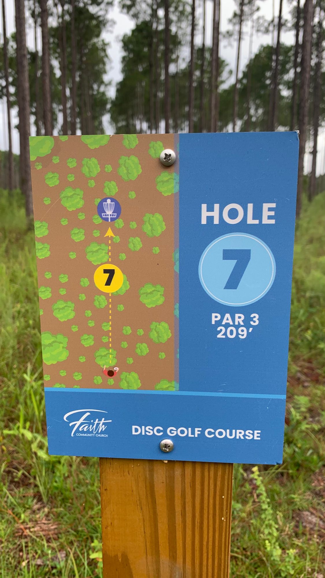 Hole 7