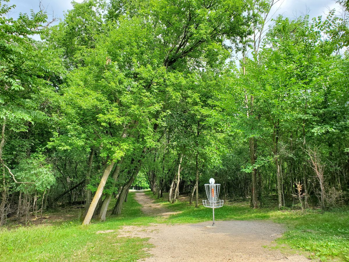 8 Basket to Tee