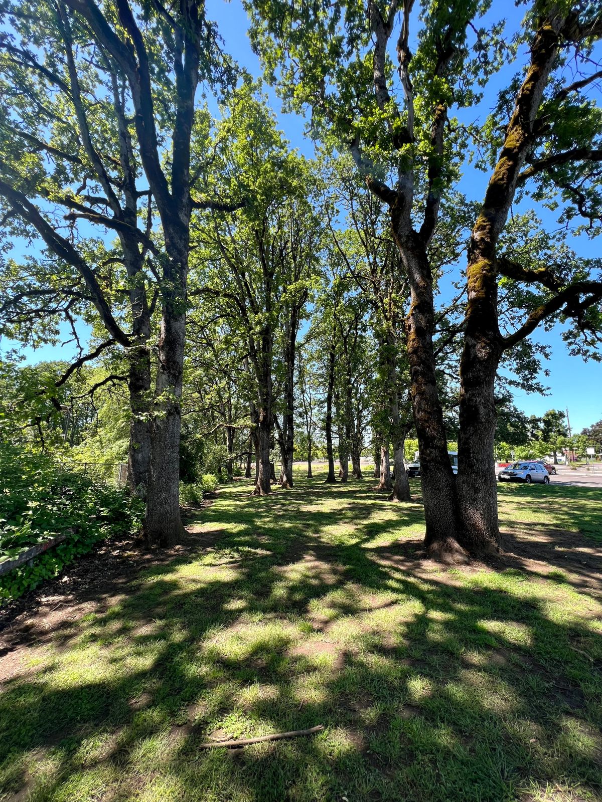 Hole 1 fairway