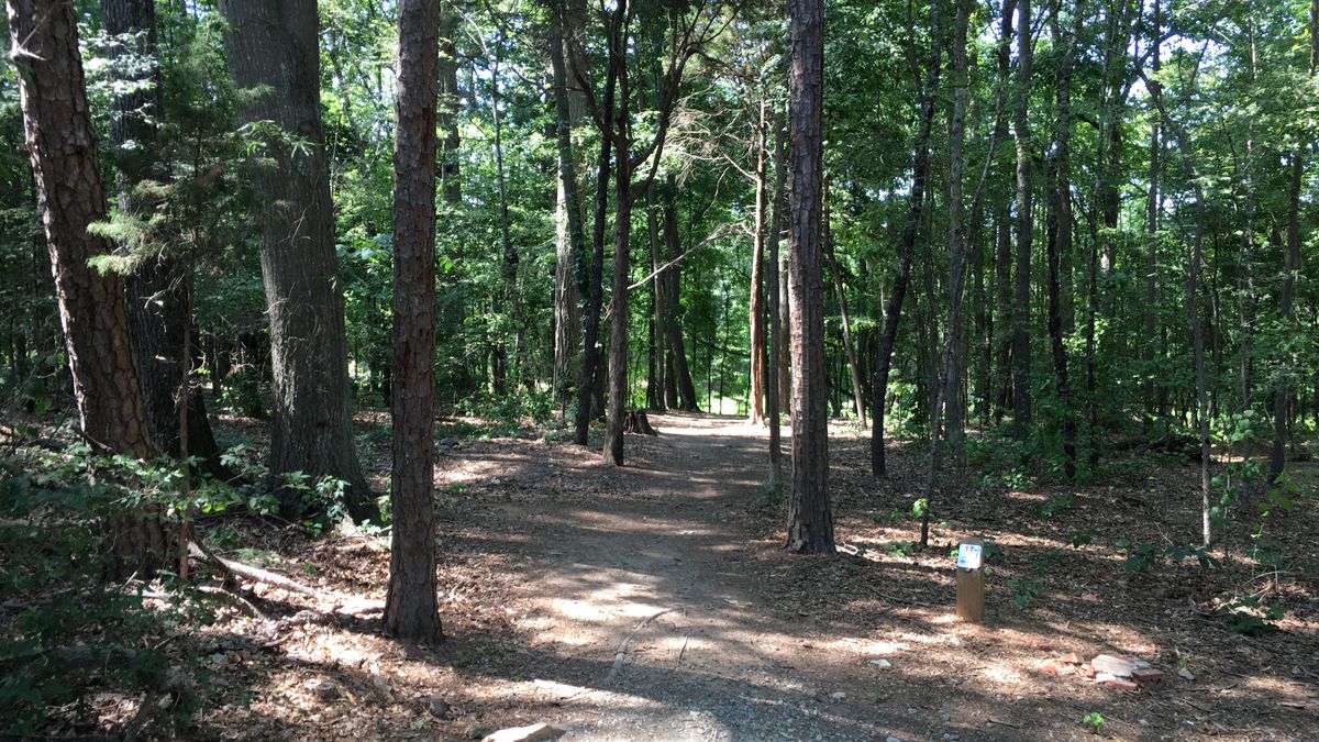 Hole 11