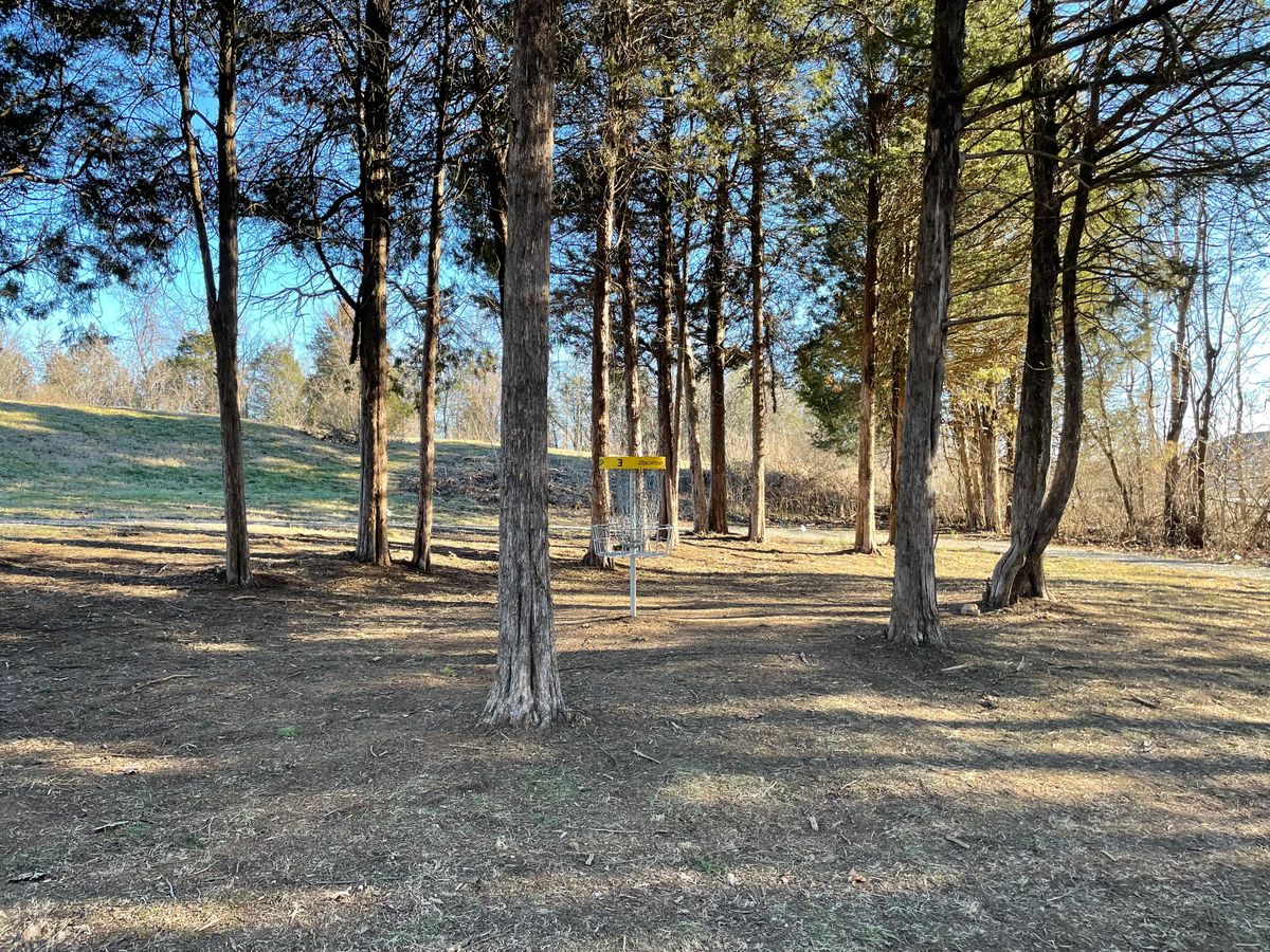Hole 3 fairway and basket