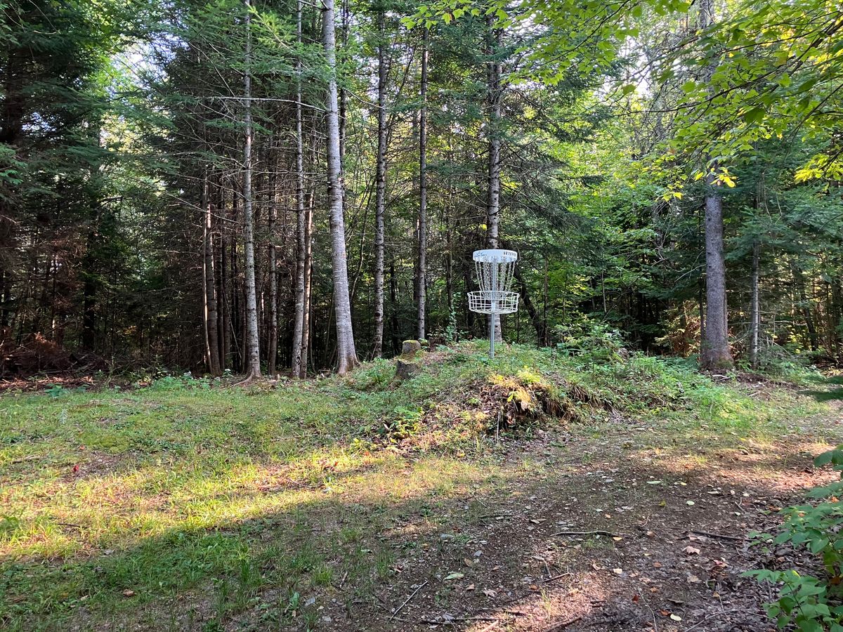 Basket 4 in longs