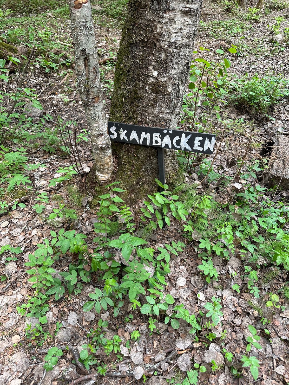 Hål 6
