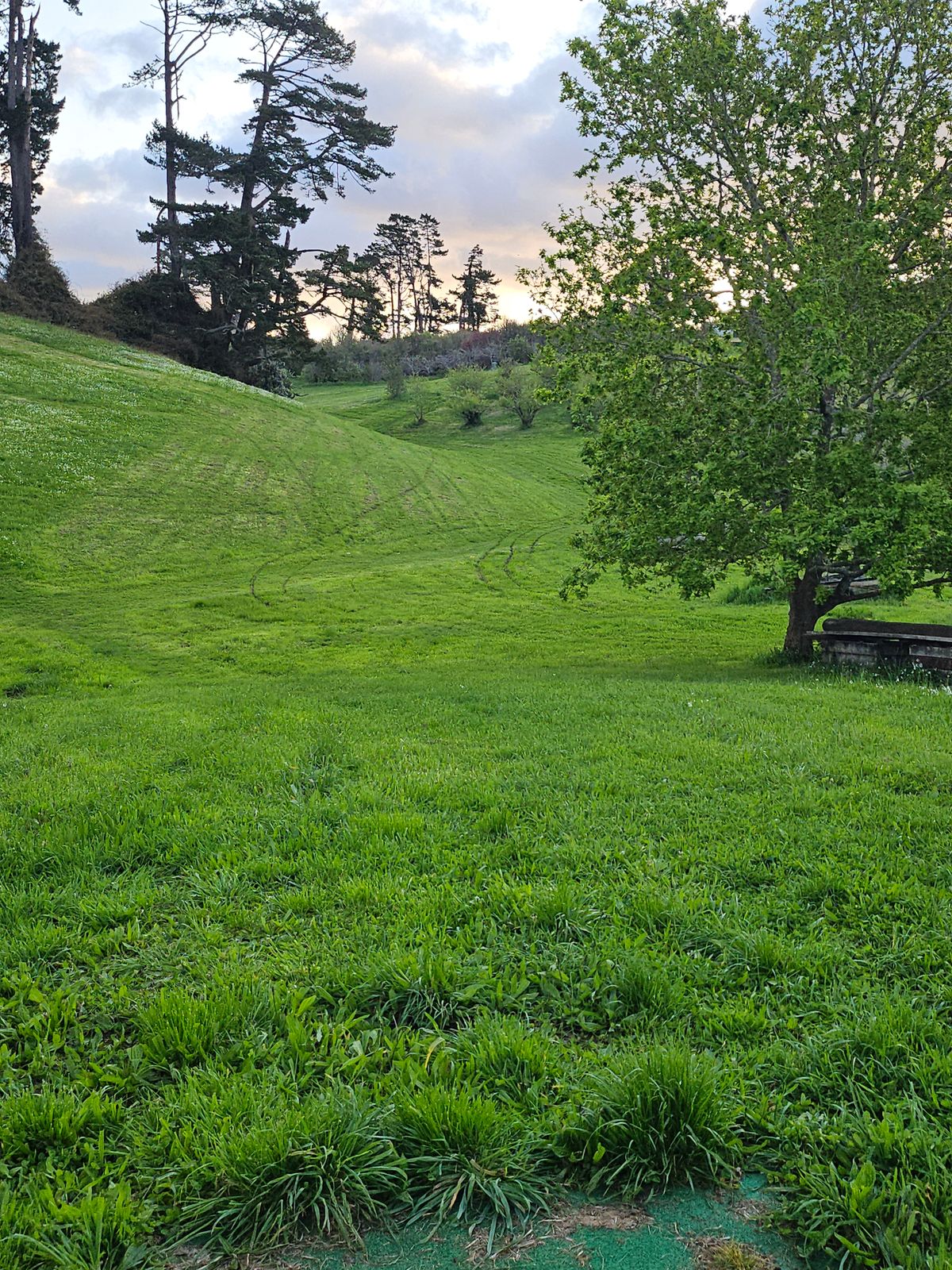 Hole 18 from the short tee