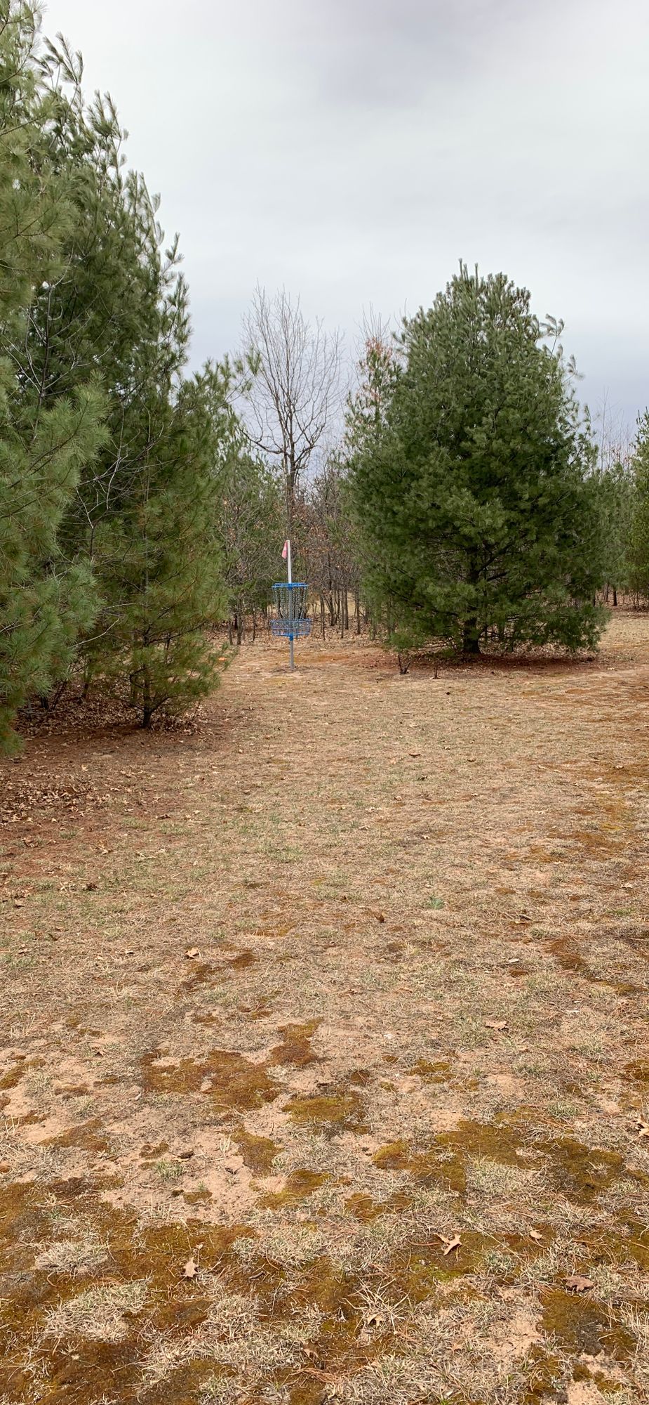 Hole 1 approach