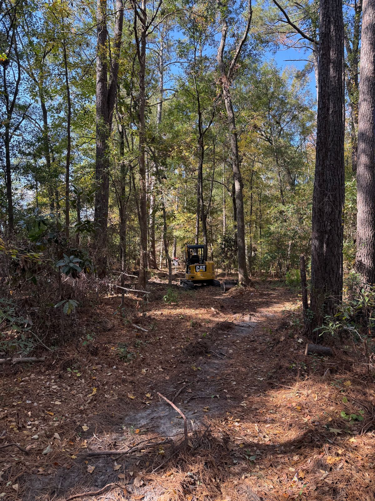 Hole 4 from the corner.