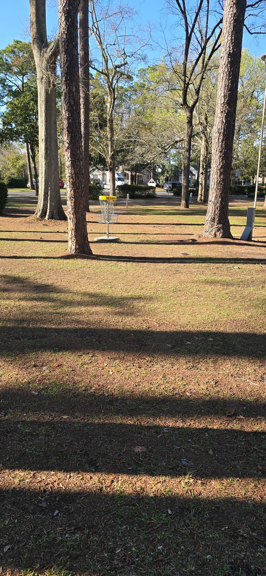 Hole 14 basket