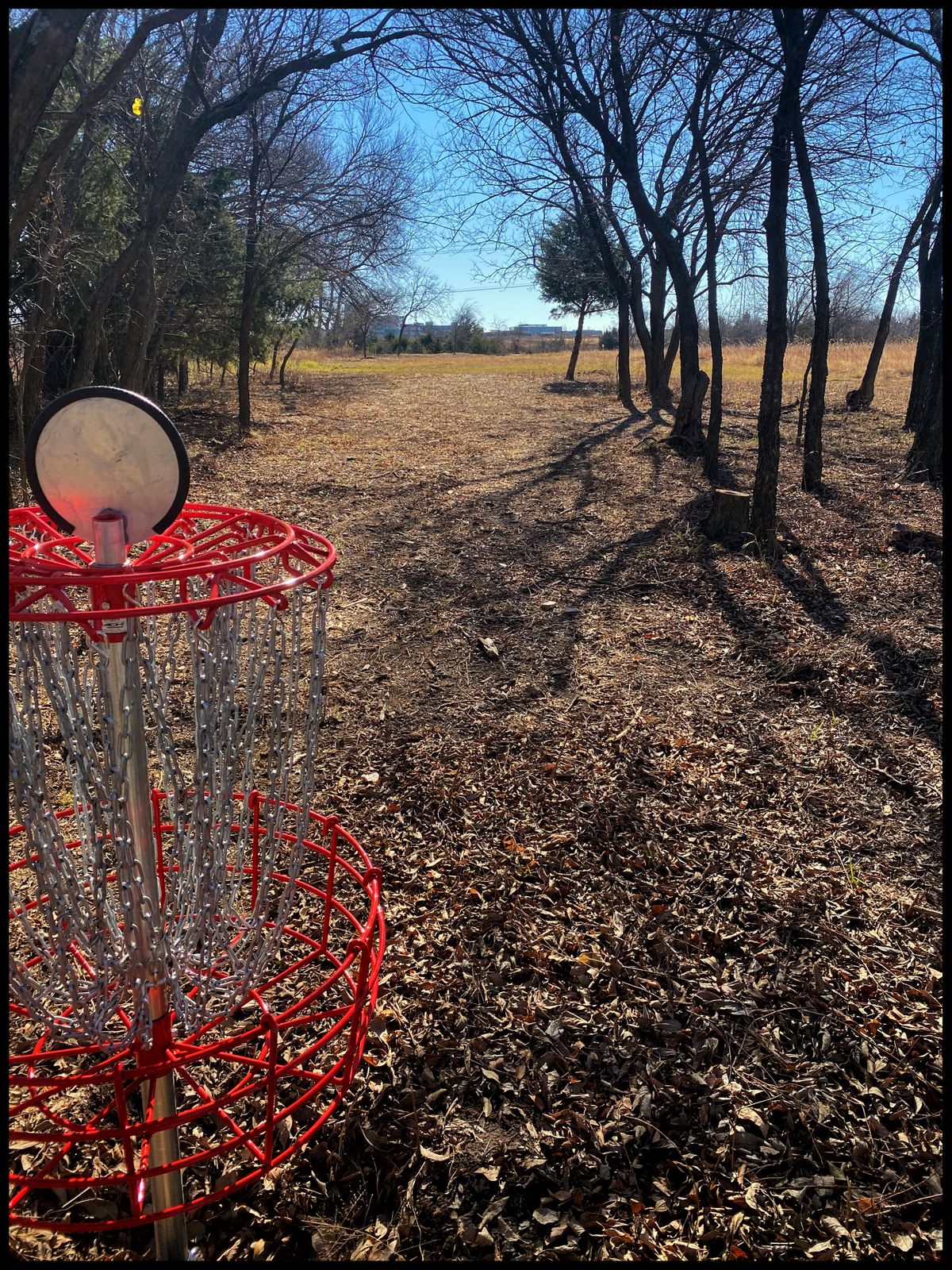 #15 green