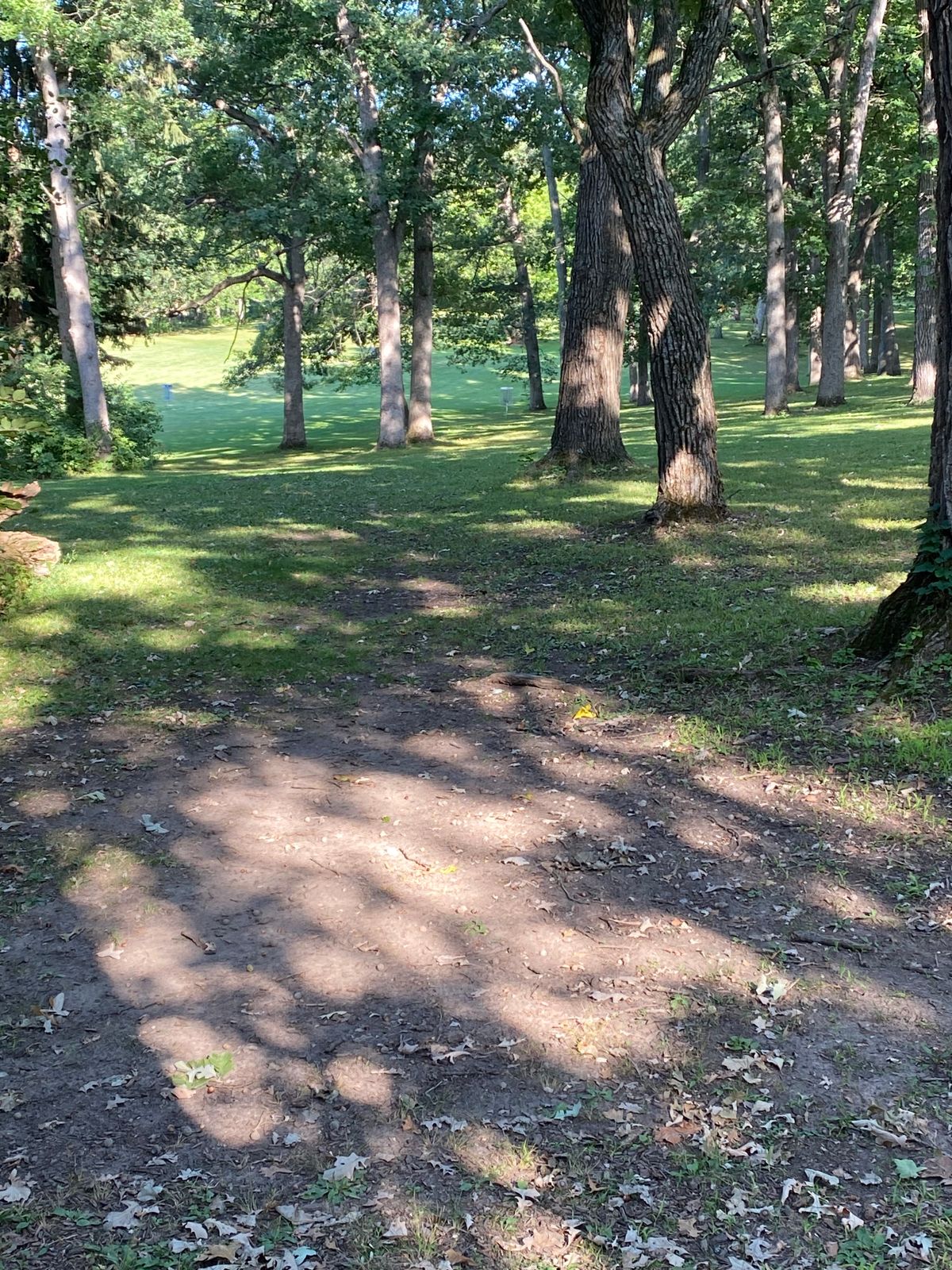 Hole 8 from the tee pad.