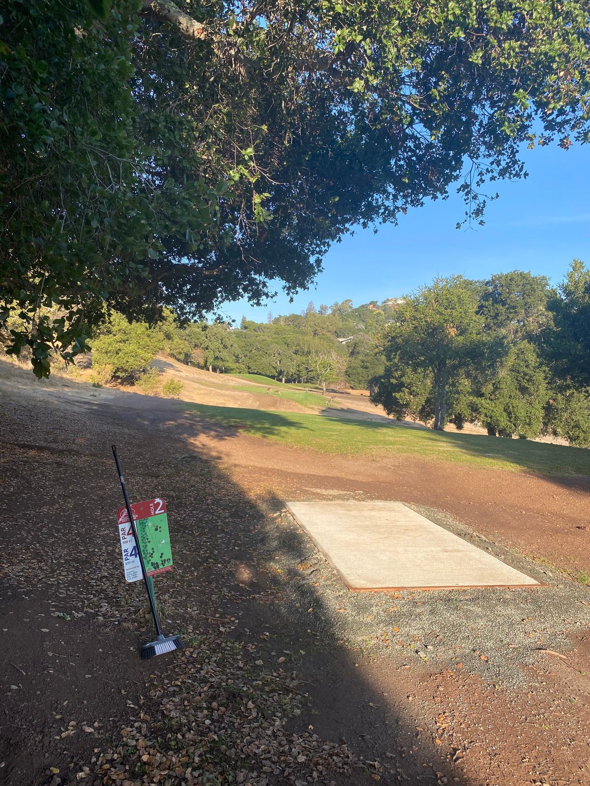 Short tee for hole 2