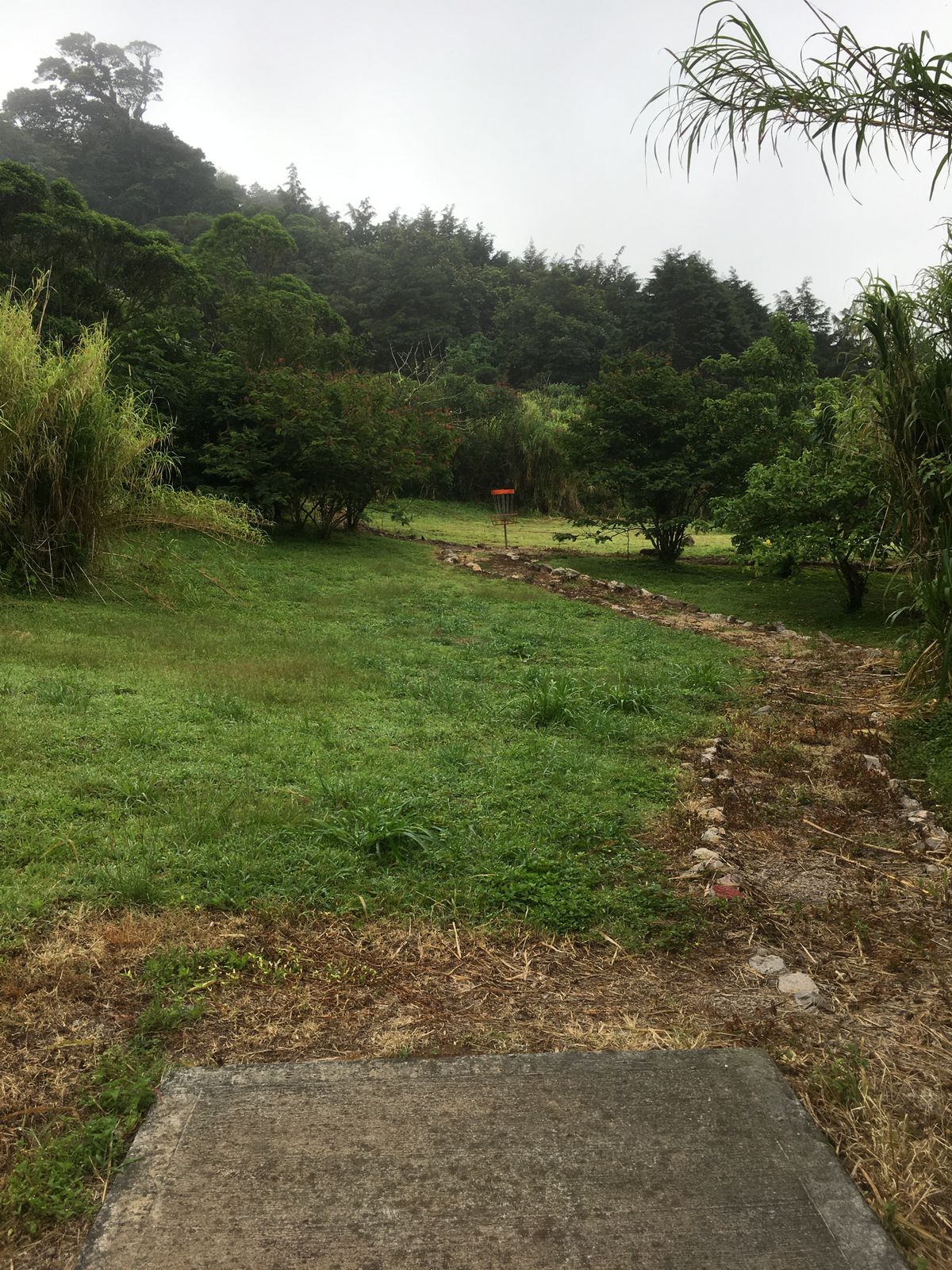 Hole 5 Short Tee