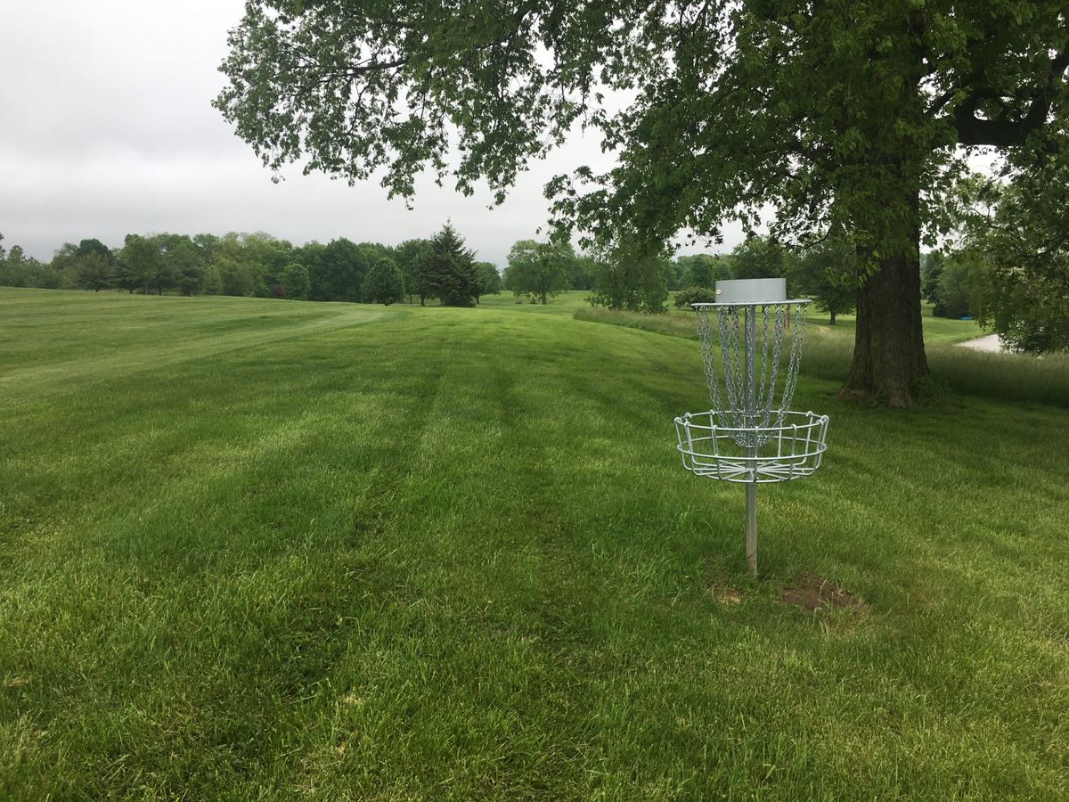 Hole 11 basket